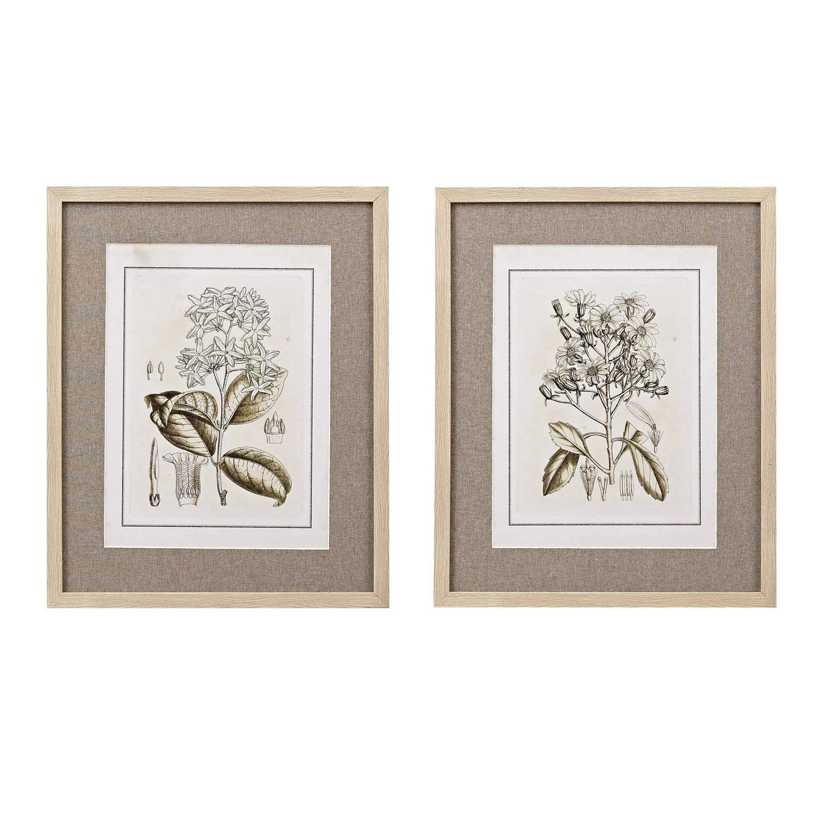 Tinted Botanical Linen Mat 2 Piece Set R8896