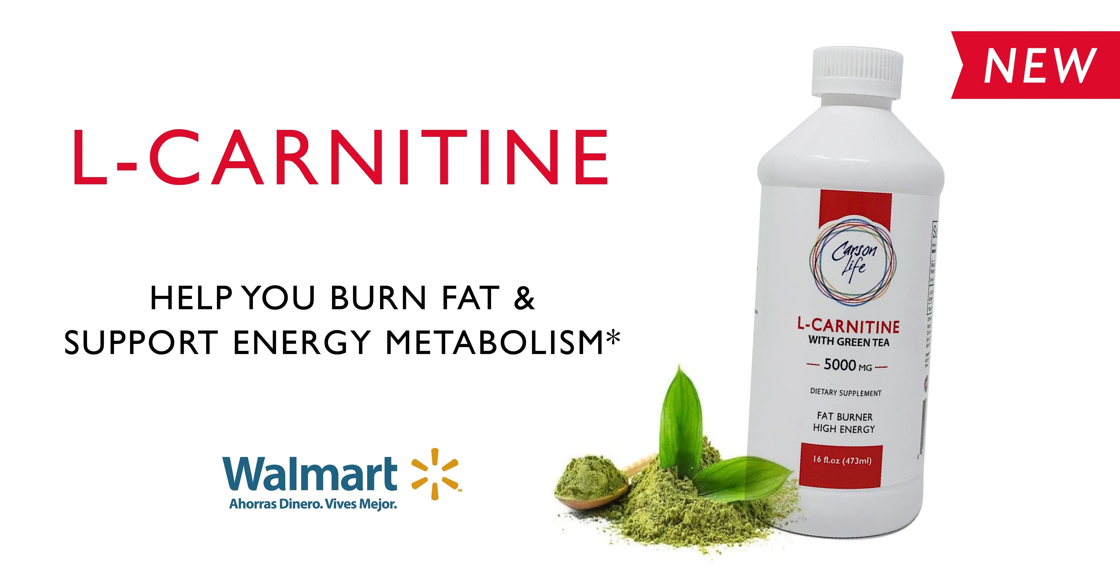 Liquid L-Carnitine, 16 Fl Oz V4469