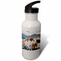 21 oz Sports Water Bottle F513176