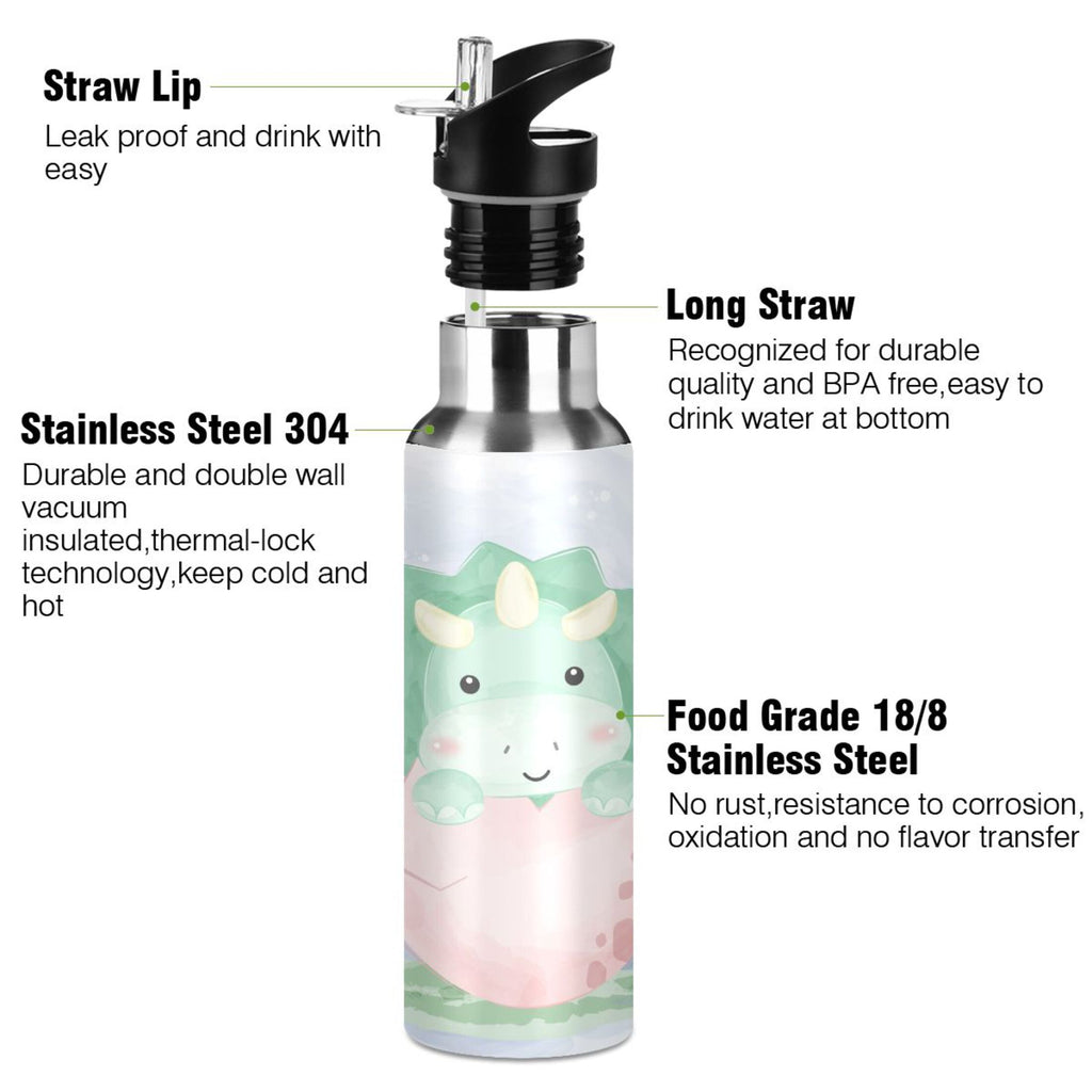 Stainless Steel Insulated Water Bottle with Straw Lid G14695