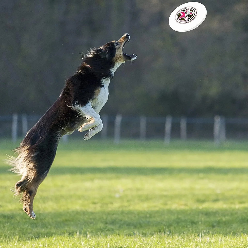 Flying Disc S8958