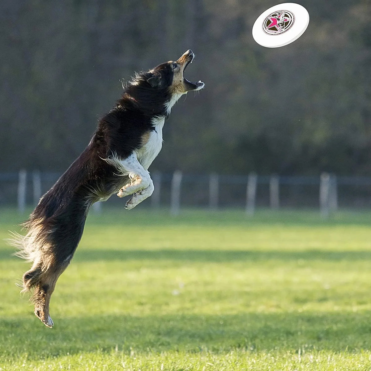 Flying Disc S8958