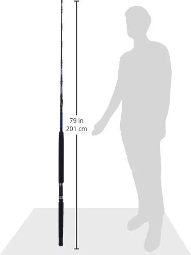 Casting Fishing Rod B775