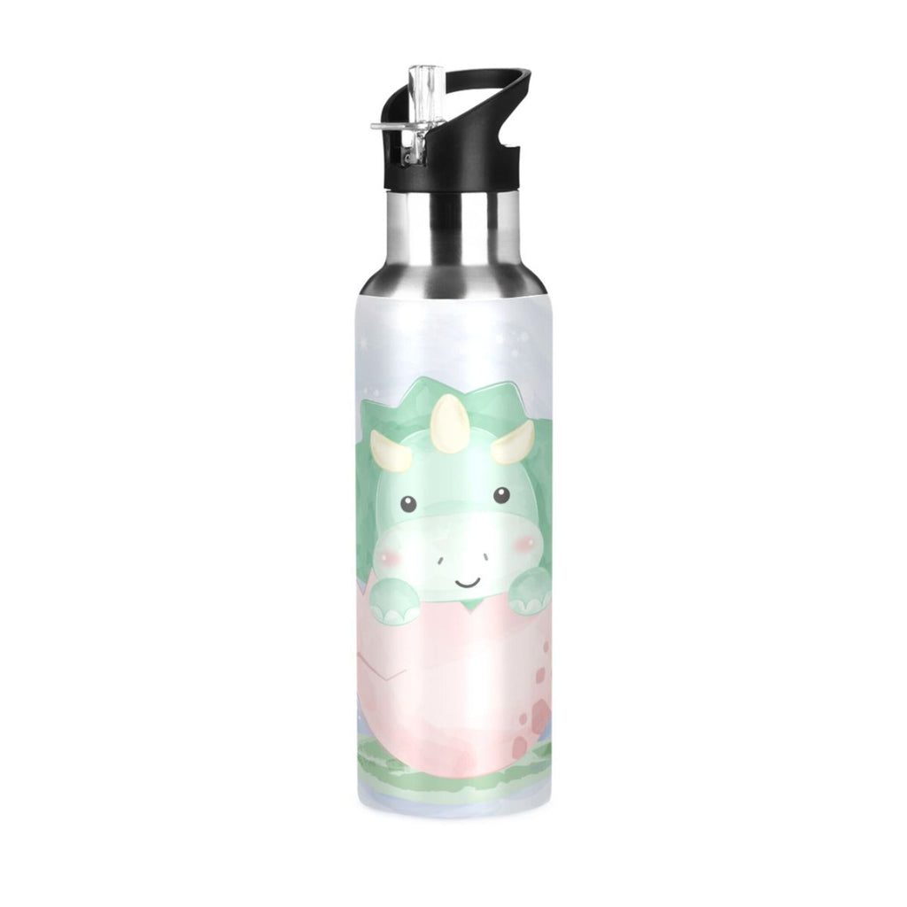 Stainless Steel Insulated Water Bottle with Straw Lid G14695