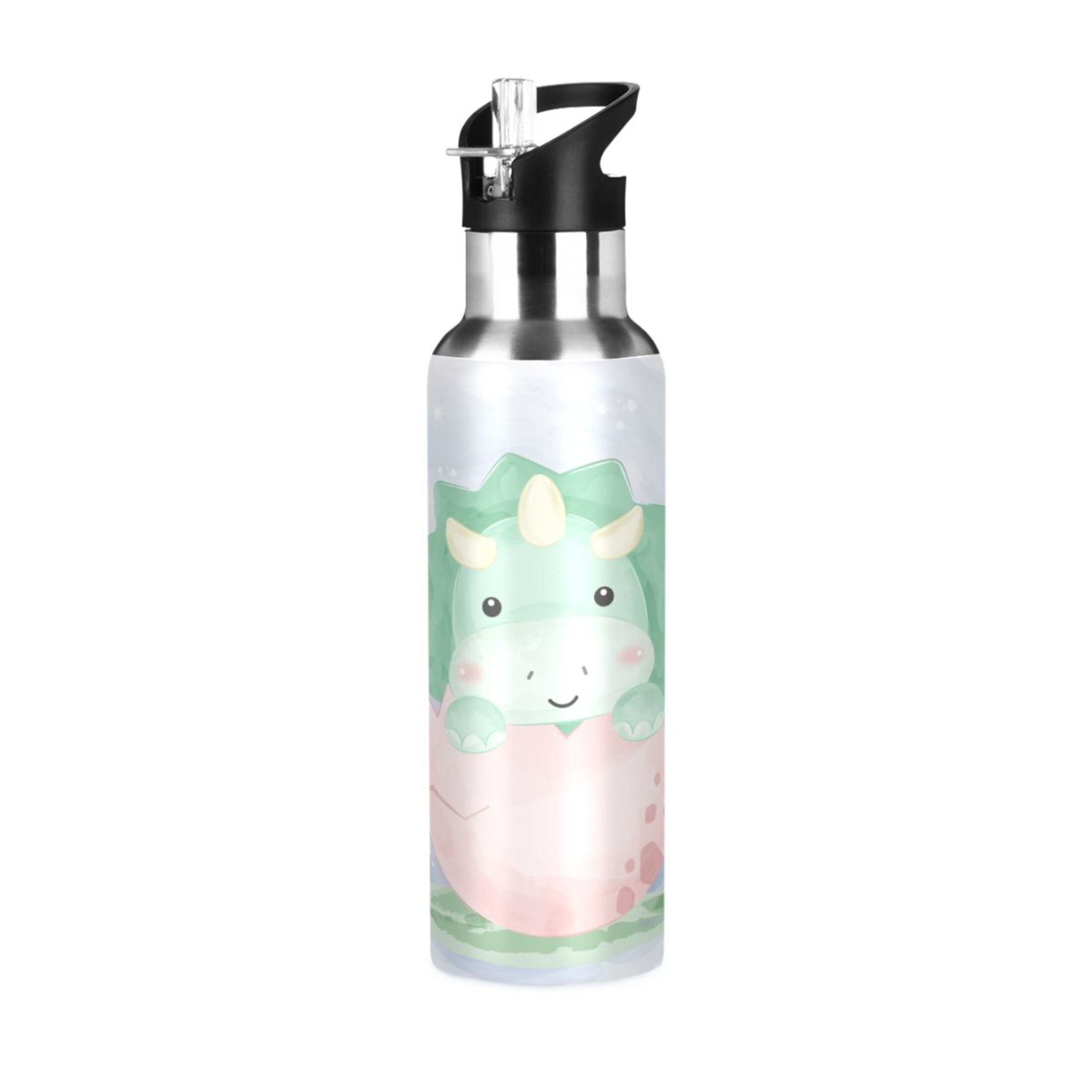Stainless Steel Insulated Water Bottle with Straw Lid G14695