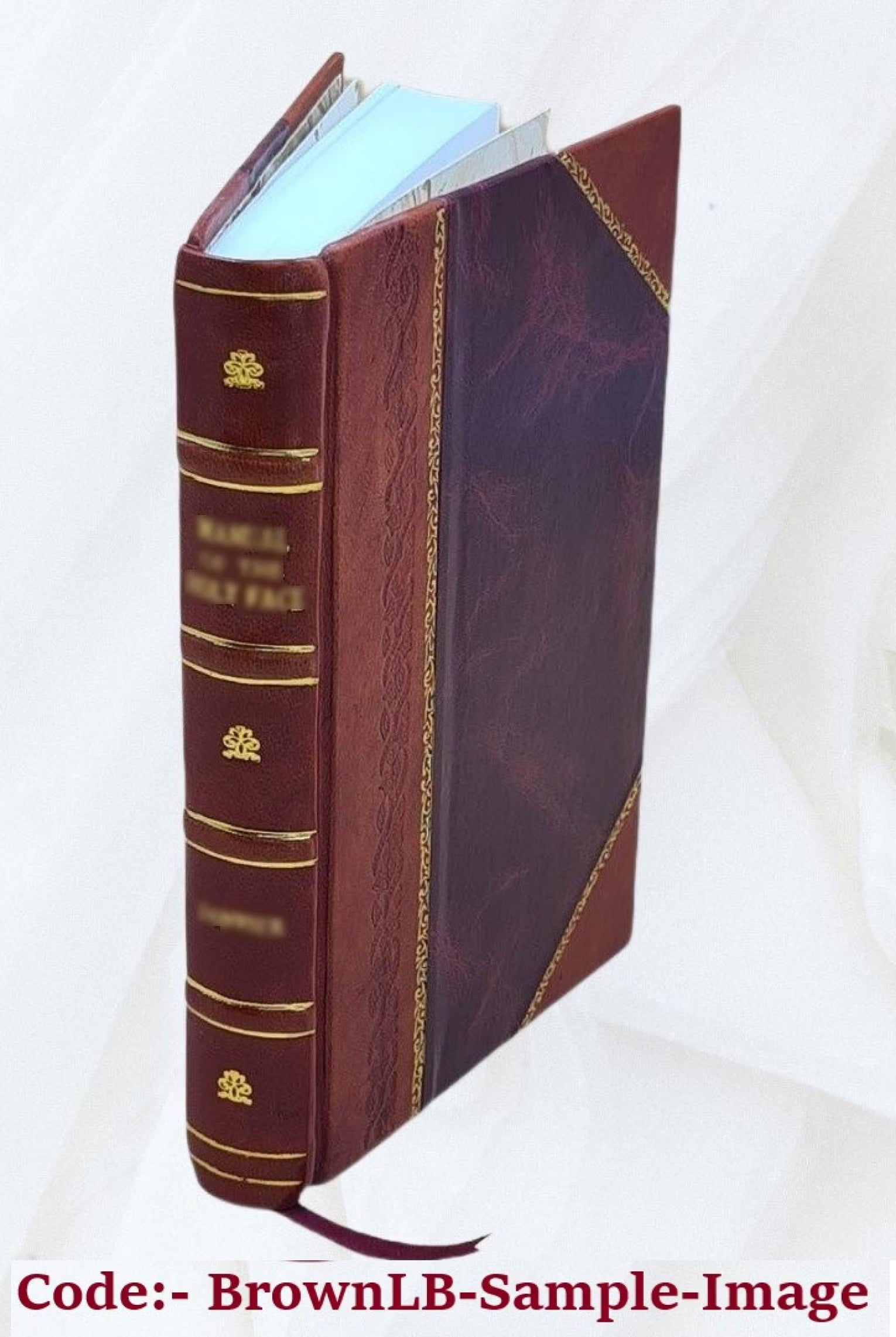 Cree and Salteaux Indians W4829