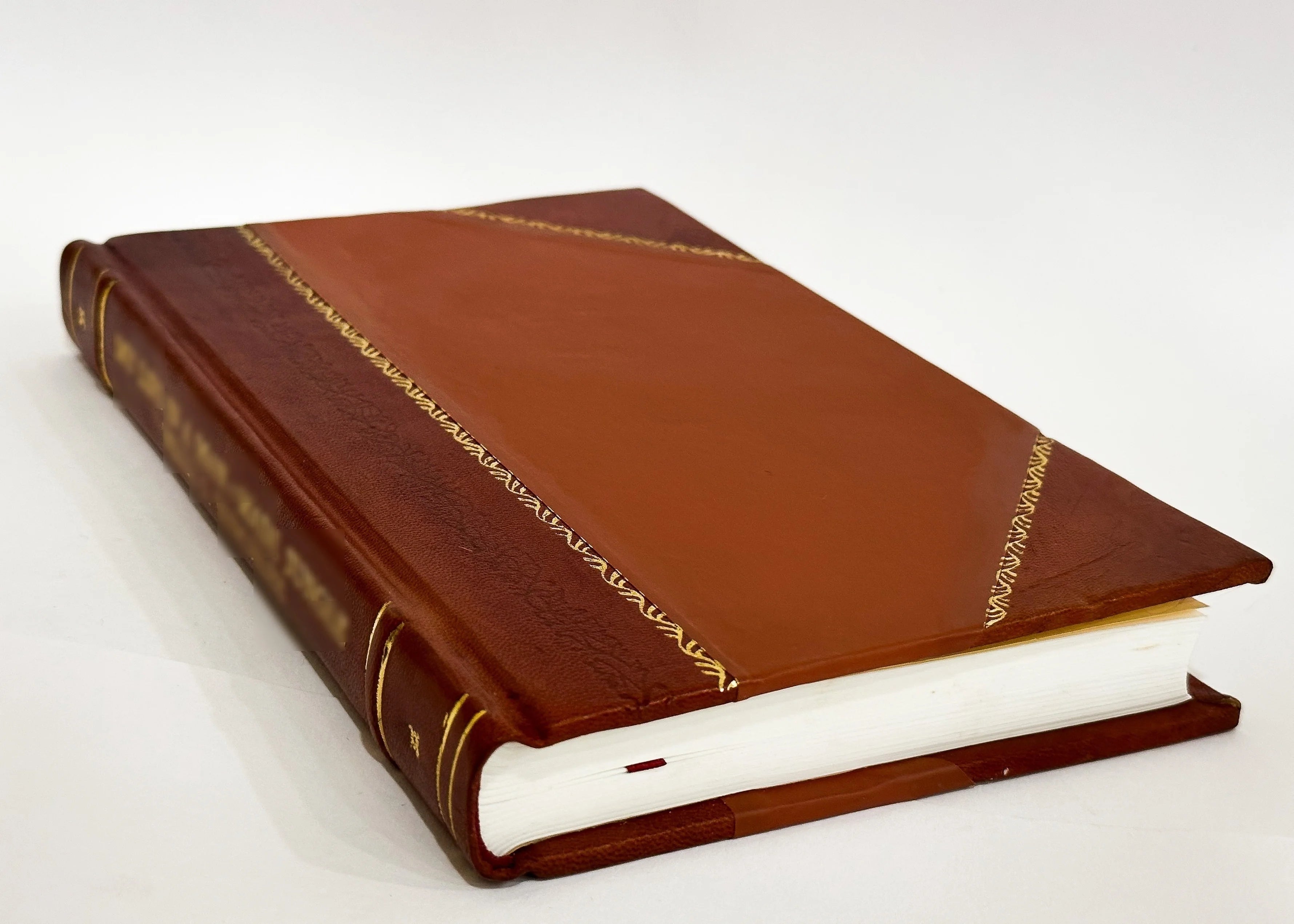 Leather Bound Book P9862
