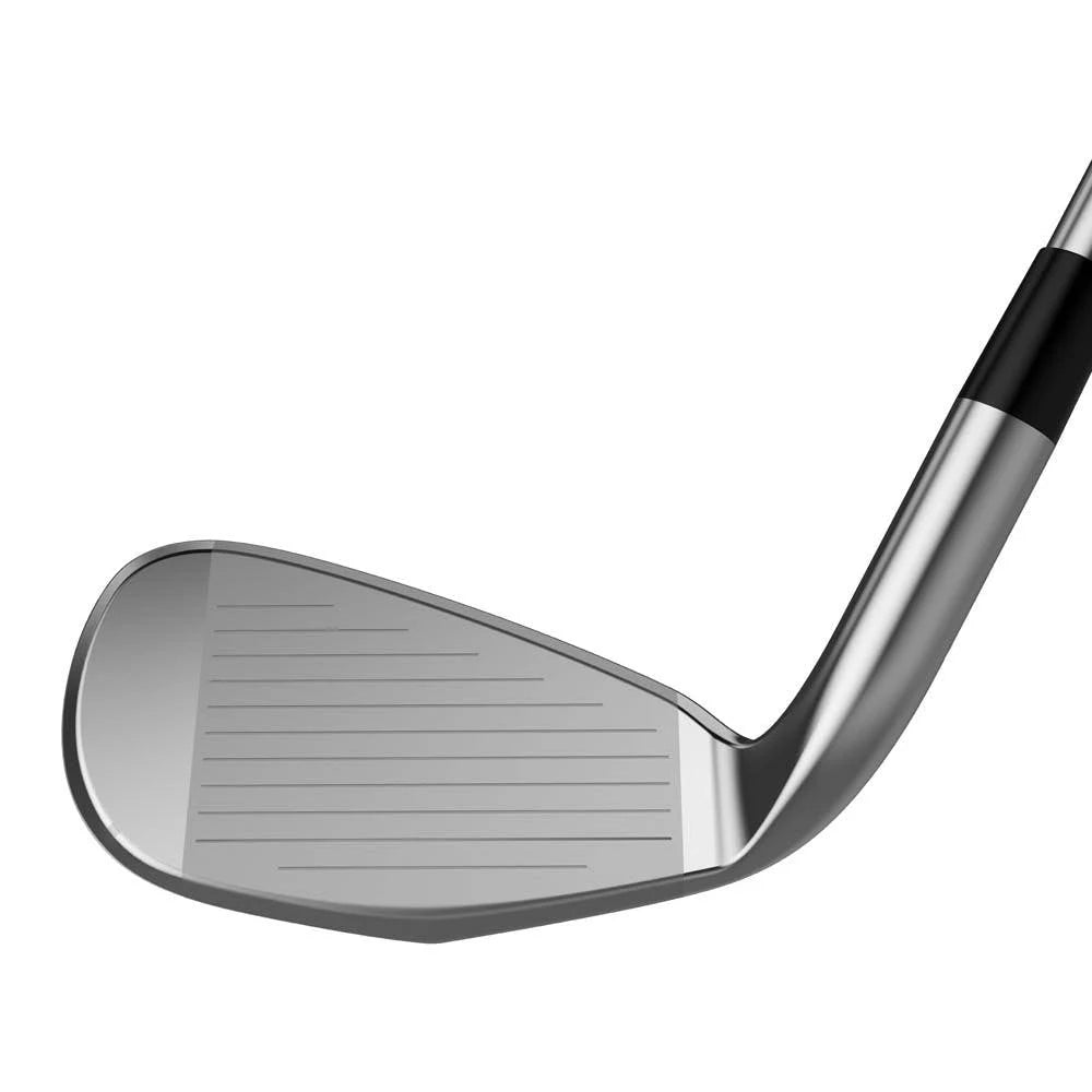 Iron Wood B764577