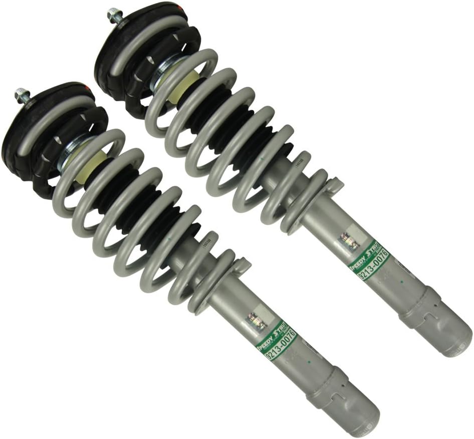 Front Pair Complete Strut Assembly Z372206