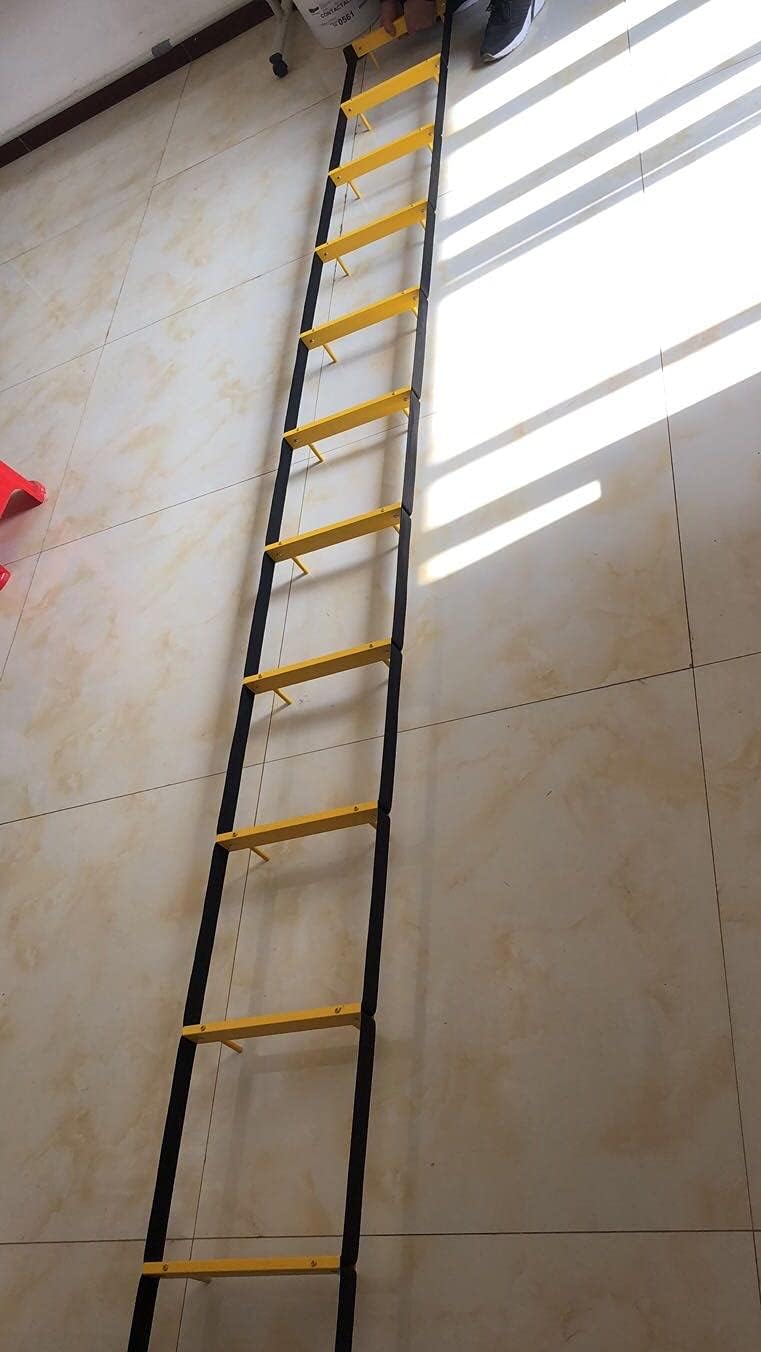 13ft Aluminum Fire Escape Ladder with Box, Snap Hooks and 2 Anchors N64866