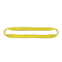 2 Ply 12x22 x 14& Endless Polyester Web Sling N4610