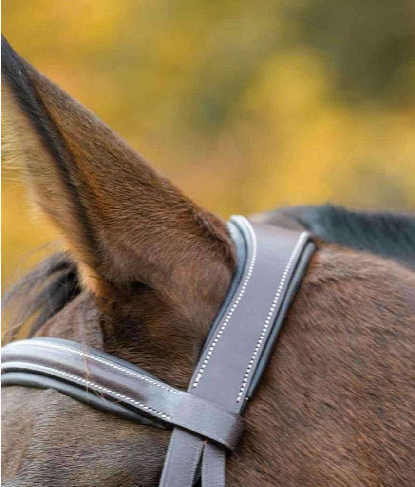 Ocala Bridle Pony N2221