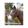 Ocala Bridle Pony N2221
