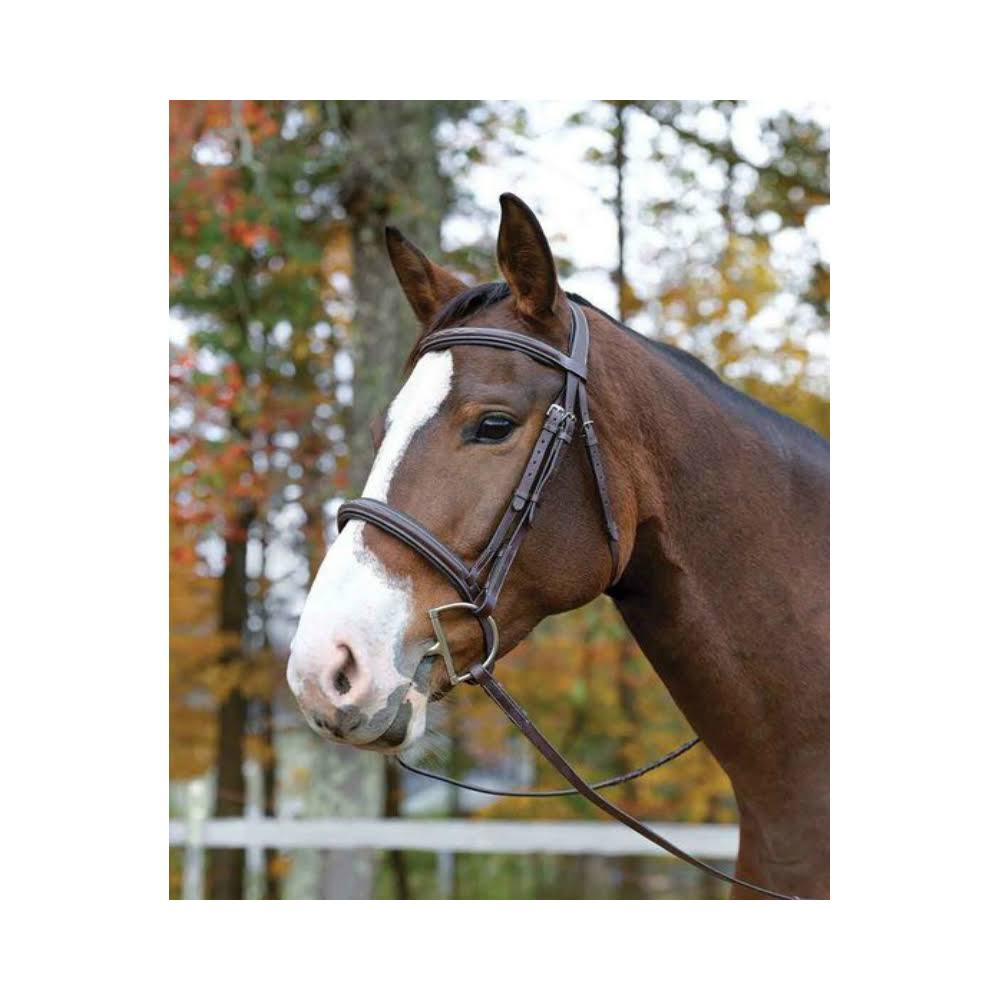 Ocala Bridle Pony N2221
