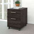 2-Drawer Mobile Vertical Filing Cabinet I2082