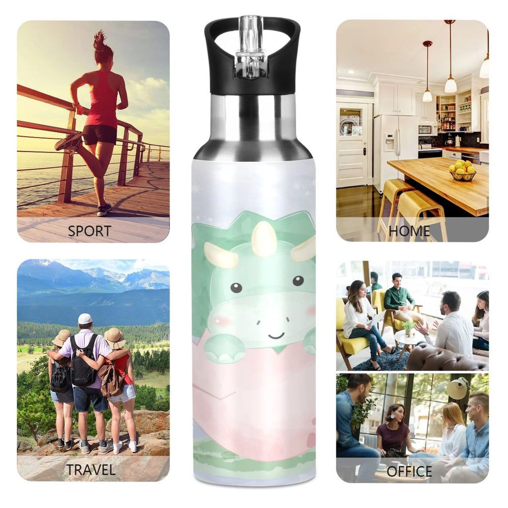 Stainless Steel Insulated Water Bottle with Straw Lid G14695