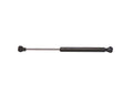 Tailgate Lift Support N12846