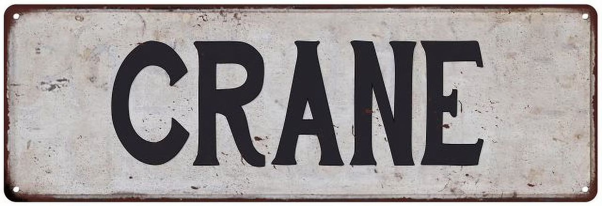 Vintage Look Rustic Chic Metal Sign 8x24 Y22379