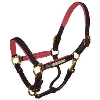 Padded Leather Halter with Nameplate D16642