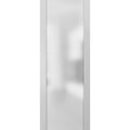 Sliding Barn Door 36 x 84 with Stainless Steel Hardware N7305