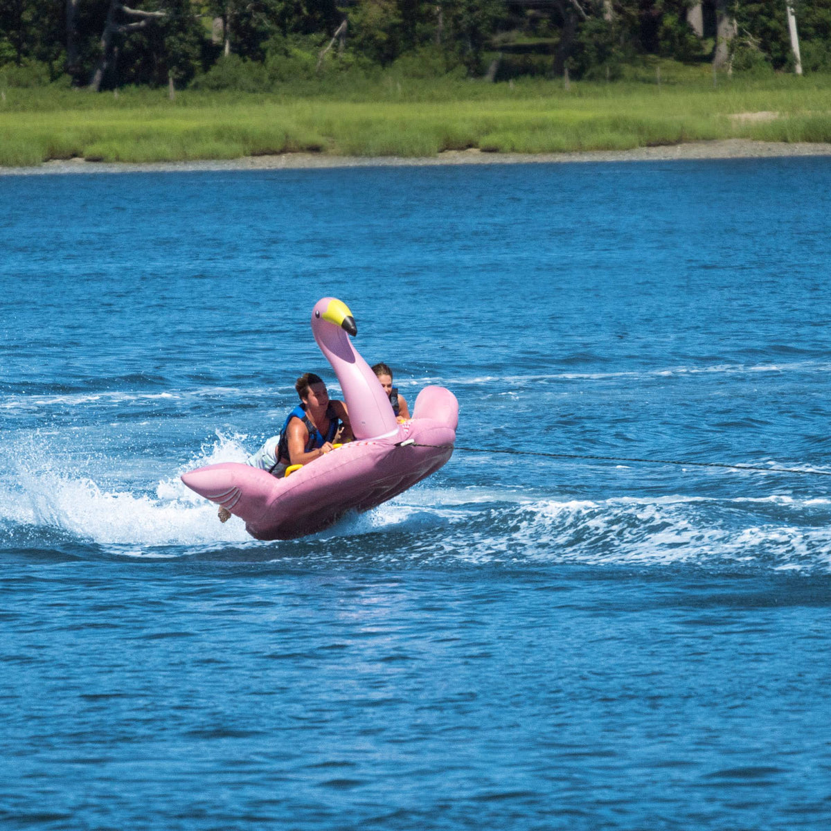 Towable Flamingo D96707