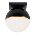 Flush Mount Y807