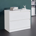 2 Drawer Black Stainless Steel Lateral File Cabinet R6887