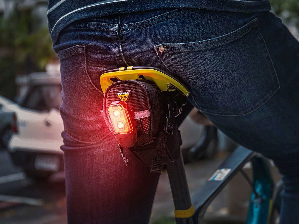 USB Rechargeable Taillight with 2 LEDs D749