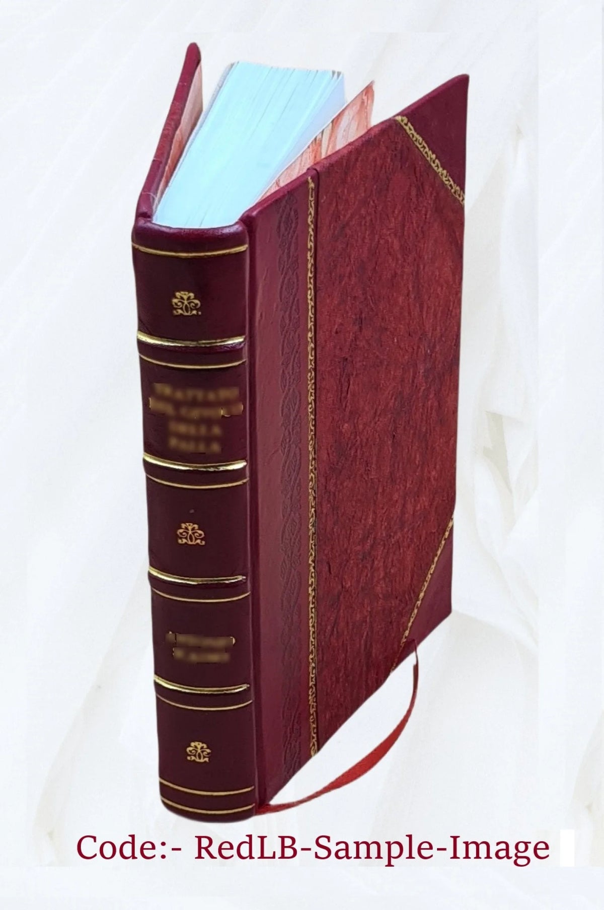 Cree and Salteaux Indians W4829